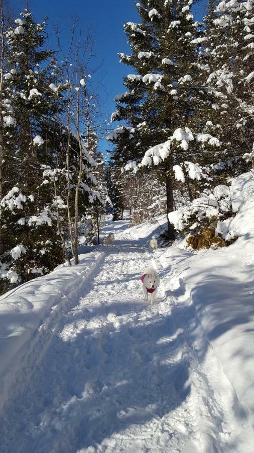 Leilighet I Amotsdal Екстер'єр фото
