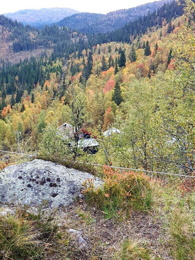 Leilighet I Amotsdal Екстер'єр фото